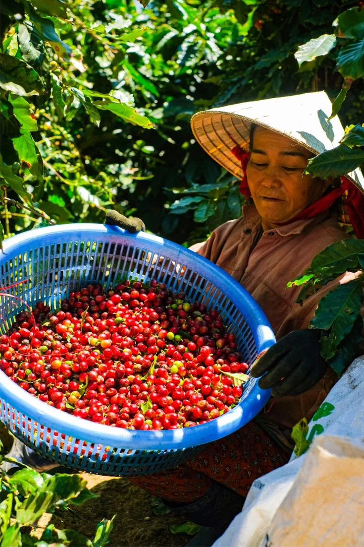 Giá trị cốt lõi ĐẬM CAFE