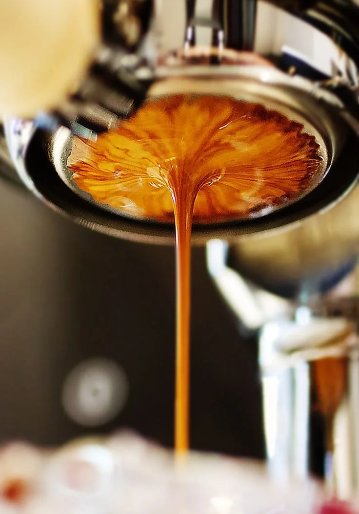 Crema chi tiết